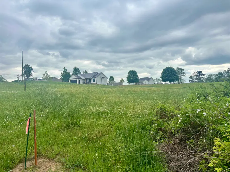 0 Co Rd 943, Cullman, AL 35057 - #3