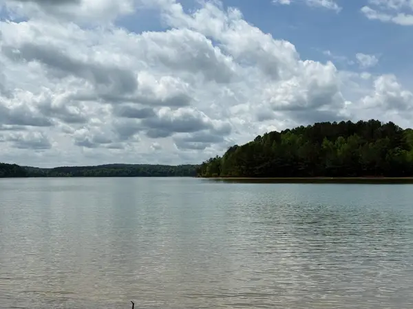 305 Bend Rd, Russellville, AL 35653