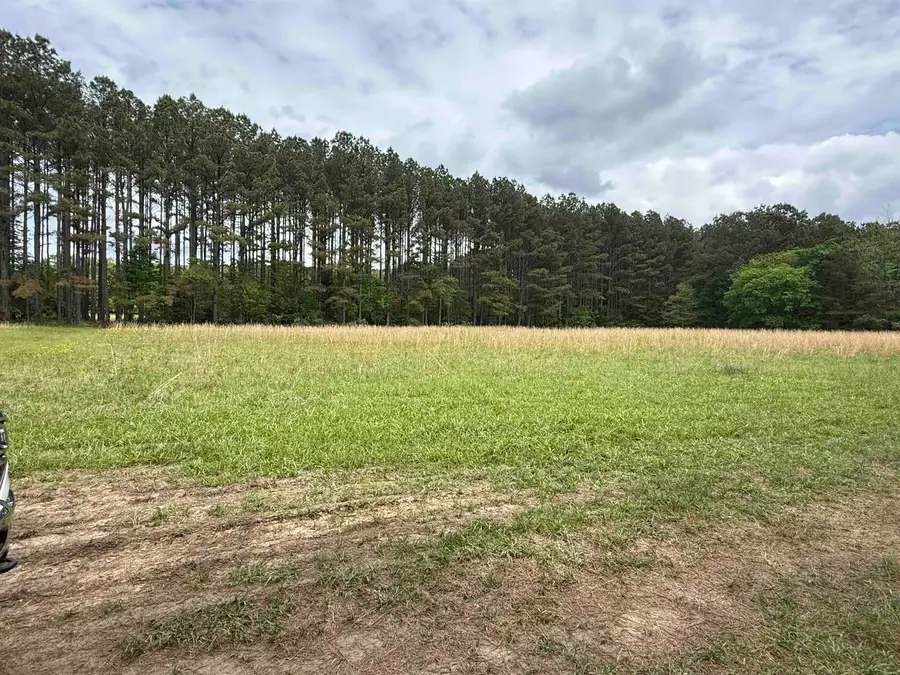 305 Bend Rd, Russellville, AL 35653 - #3