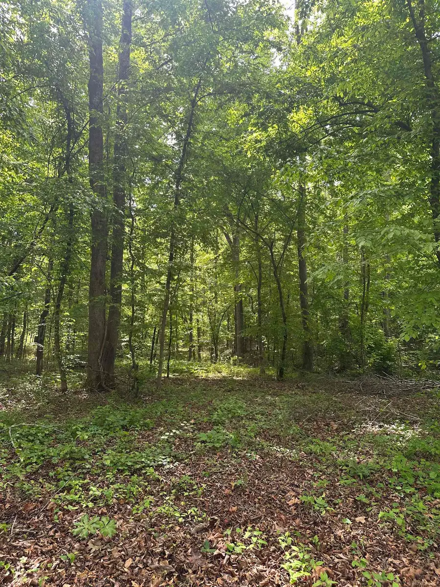 12778 Rose Tl, Cherokee, AL 35616 - #2