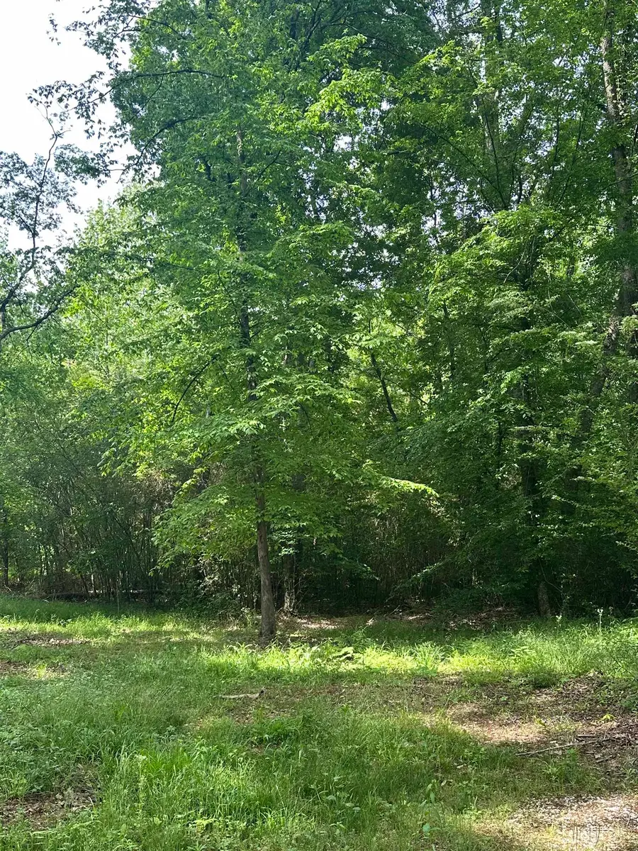 12778 Rose Tl, Cherokee, AL 35616 - #3