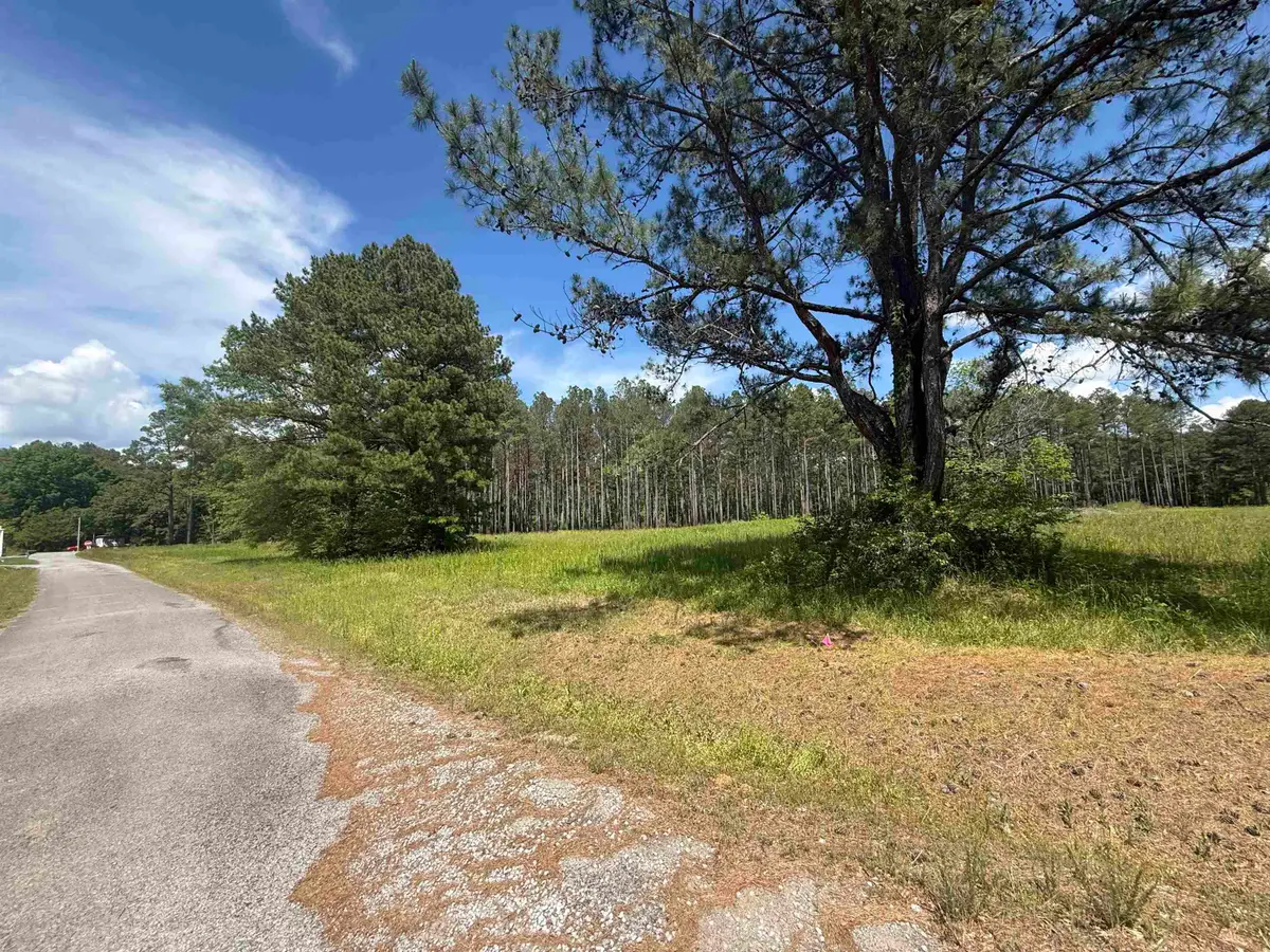 TBD Co Rd 35, Bremen, AL 35033 - #1