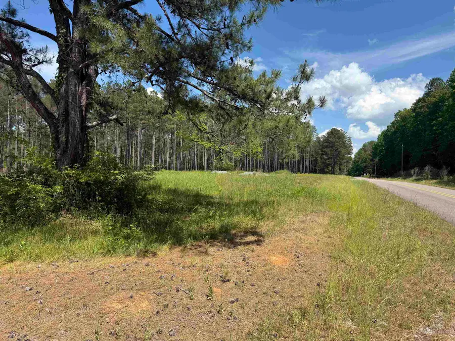 TBD Co Rd 35, Bremen, AL 35033 - #2