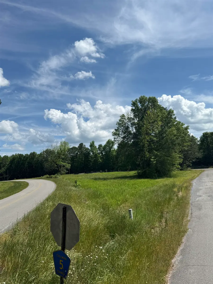 TBD Co Rd 35, Bremen, AL 35033 - #3