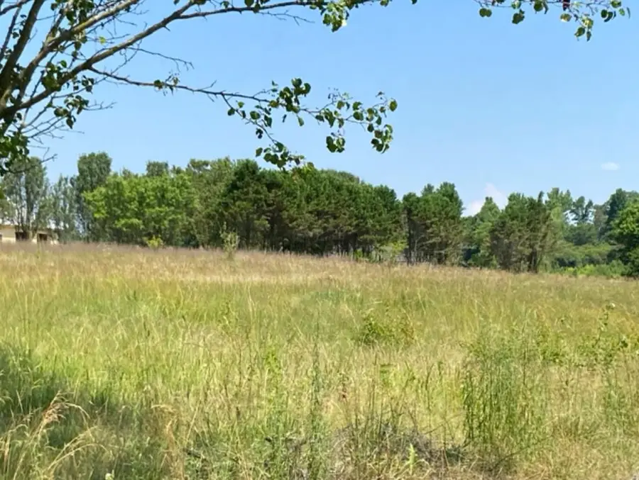 0 Us Hwy 278, Holly Pond, AL 35083 - #2