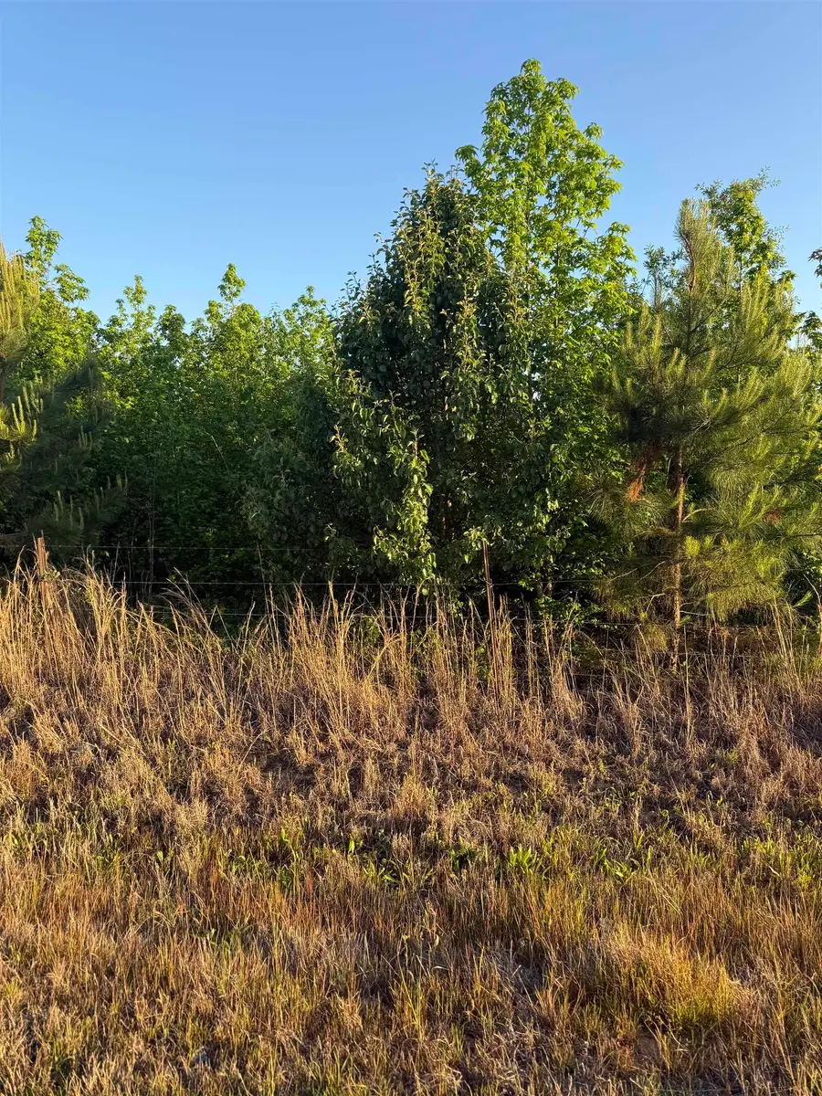 00 Co Rd 106, Florence, AL 35631 - #3