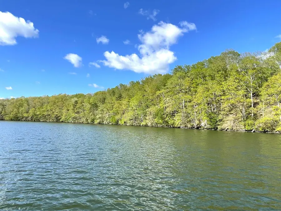 1460 Lingerlost Rd, Killen, AL 35645 - #3