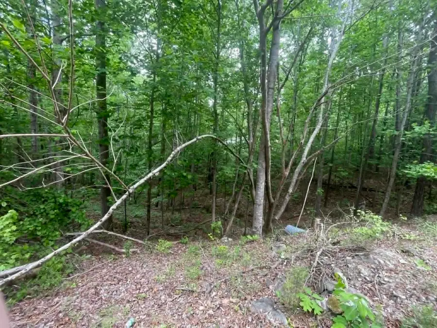 00 Bluff Way, Jasper, AL 35503 - #2
