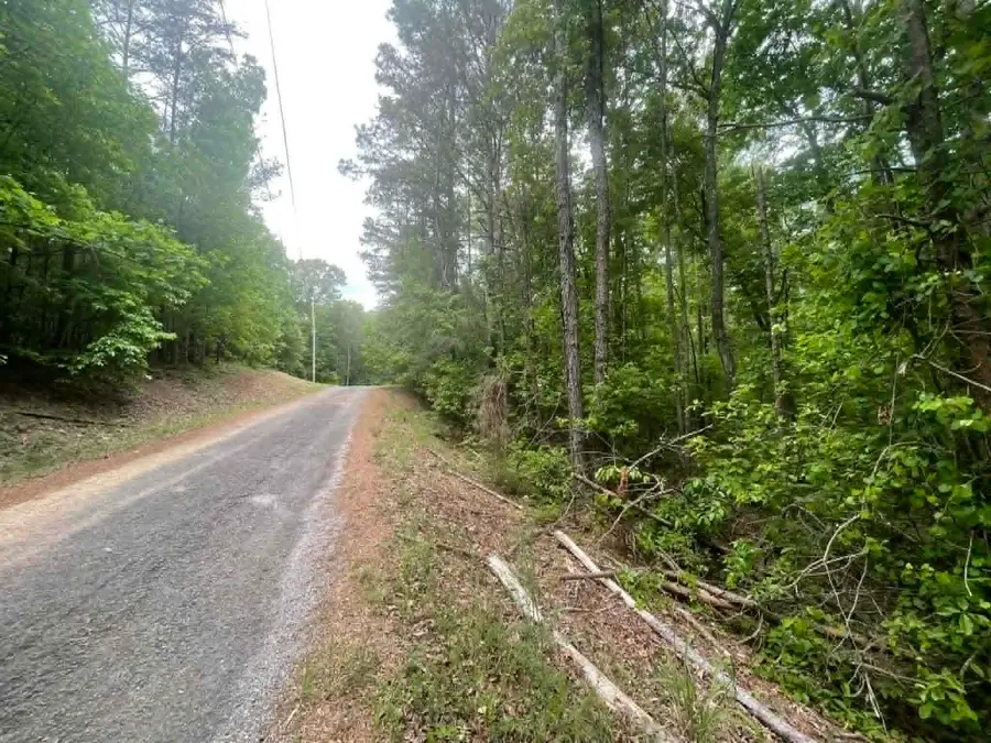 00 Bluff Way, Jasper, AL 35503 - #3