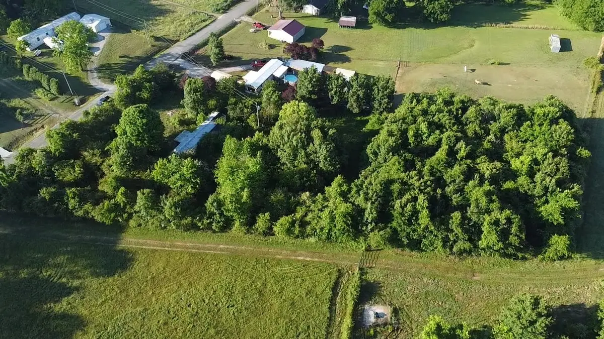 287 Co Rd 111, Killen, AL 35645 - #1