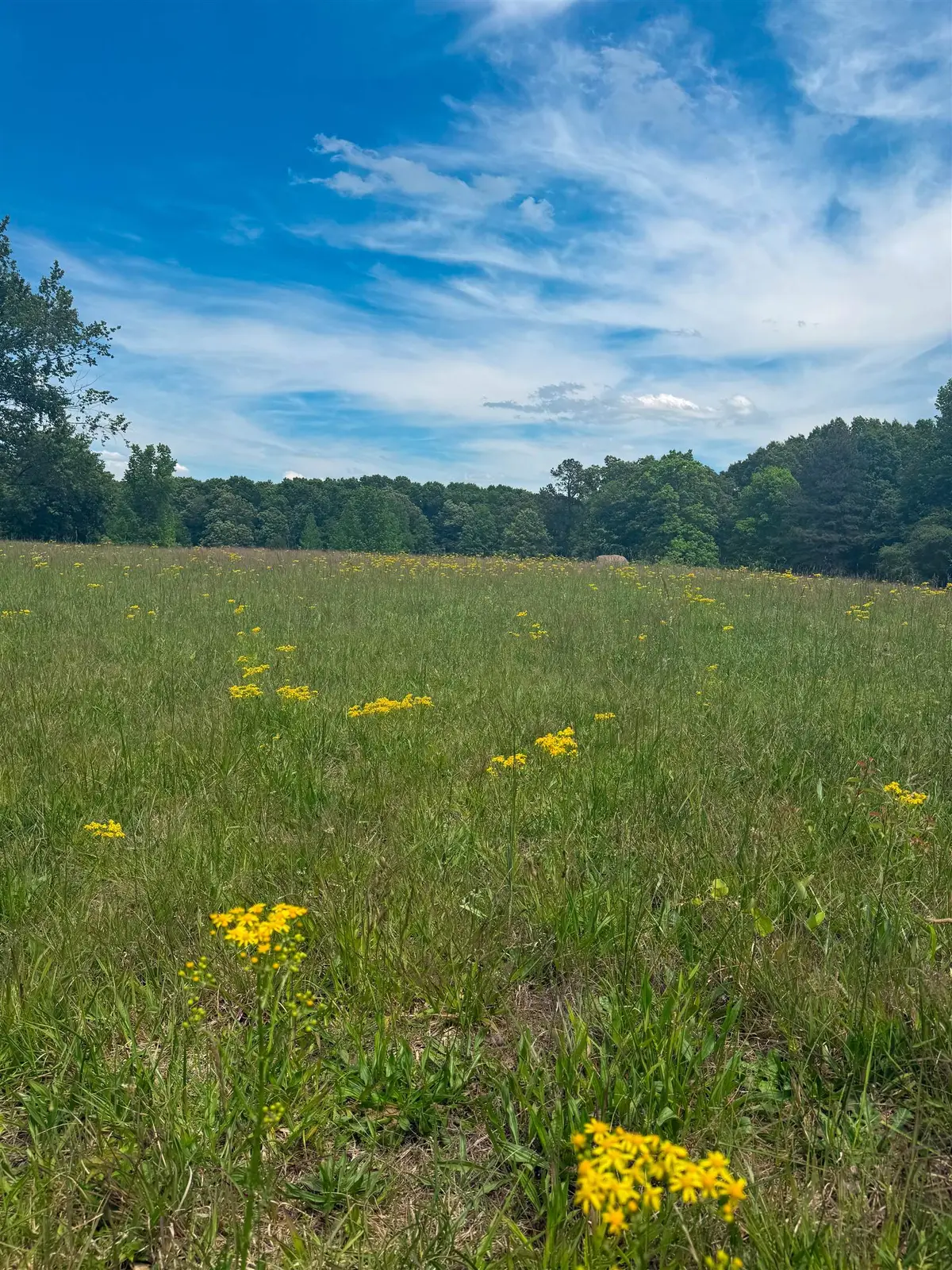 00 Co Rd 11, Florence, AL 35633 - #1