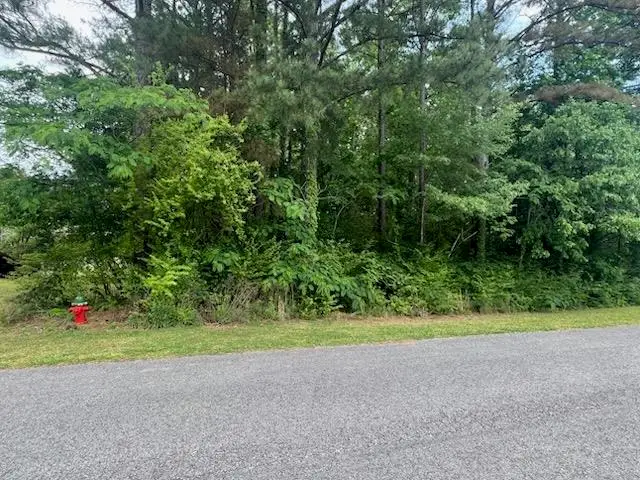 Lot 52 Clarendon Rd, Cullman, AL 35057 - #1