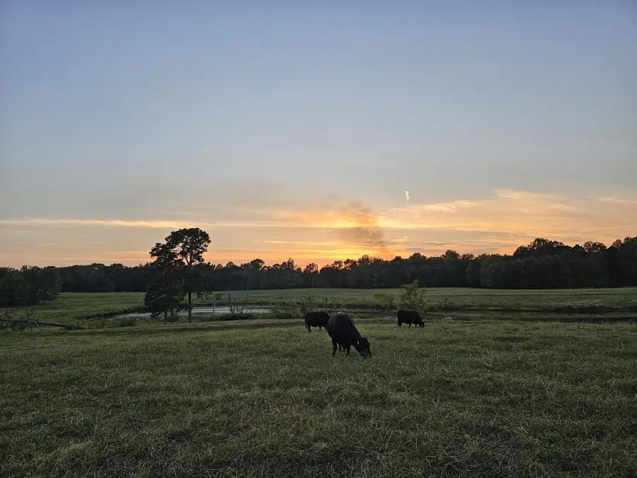 010 Little Egypt Rd, Tuscumbia, AL 35674 - #3
