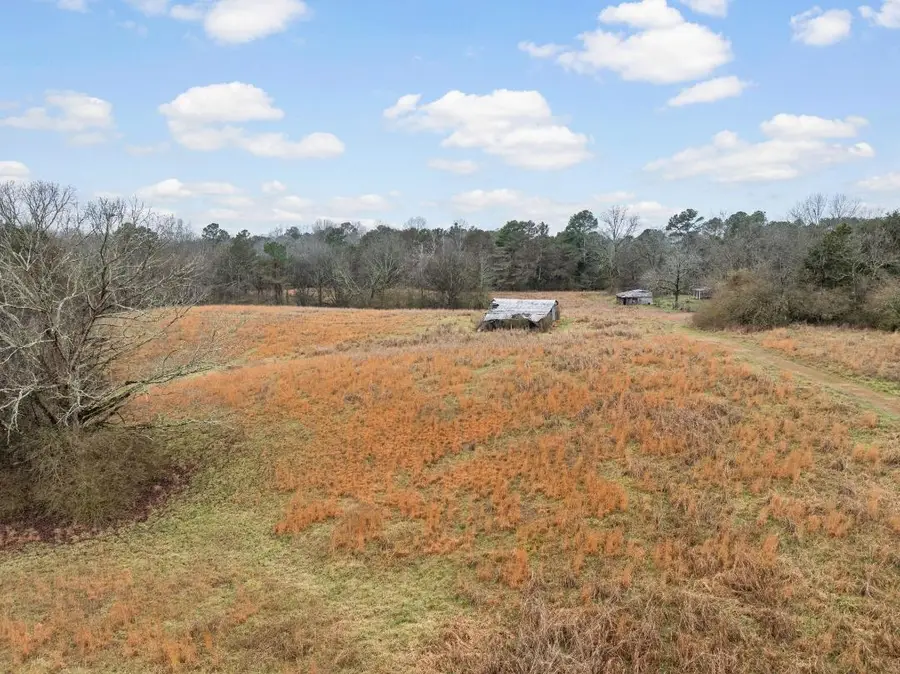 0 Hwy 22, Spruce Pine, AL 35585 - #3