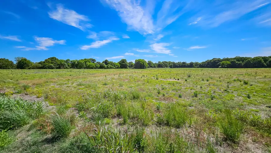 0 Co Rd 97, Rogersville, AL 35652 - #2