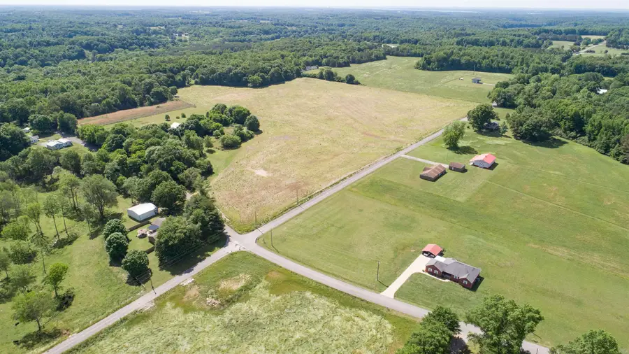 00 Co Rd 561, Rogersville, AL 35652 - #2