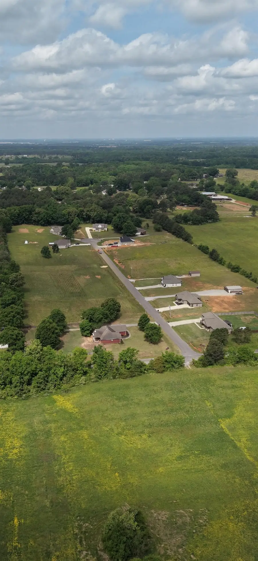 220 Mill Creek Ct, Leighton, AL 35646 - #2