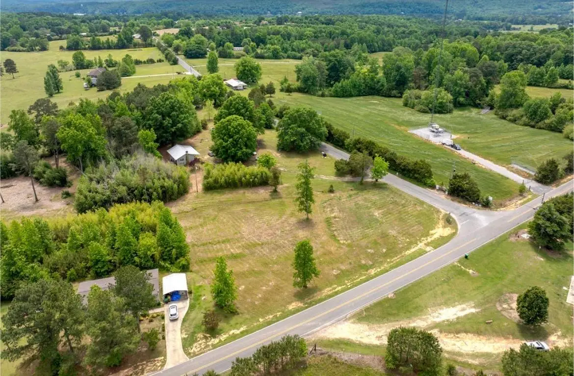 5302 Co Rd 22, Crane Hill, AL 35053 - #1