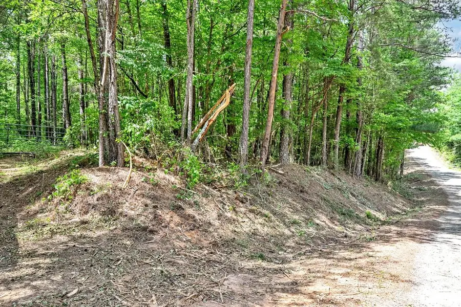 0 Co Rd 33, Hanceville, AL 35077 - #3