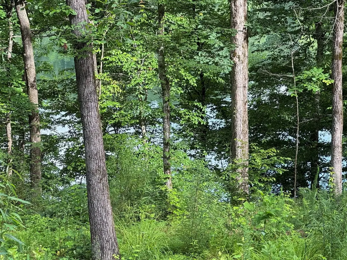 0 Lake Dr, Logan, AL 35098 - #1