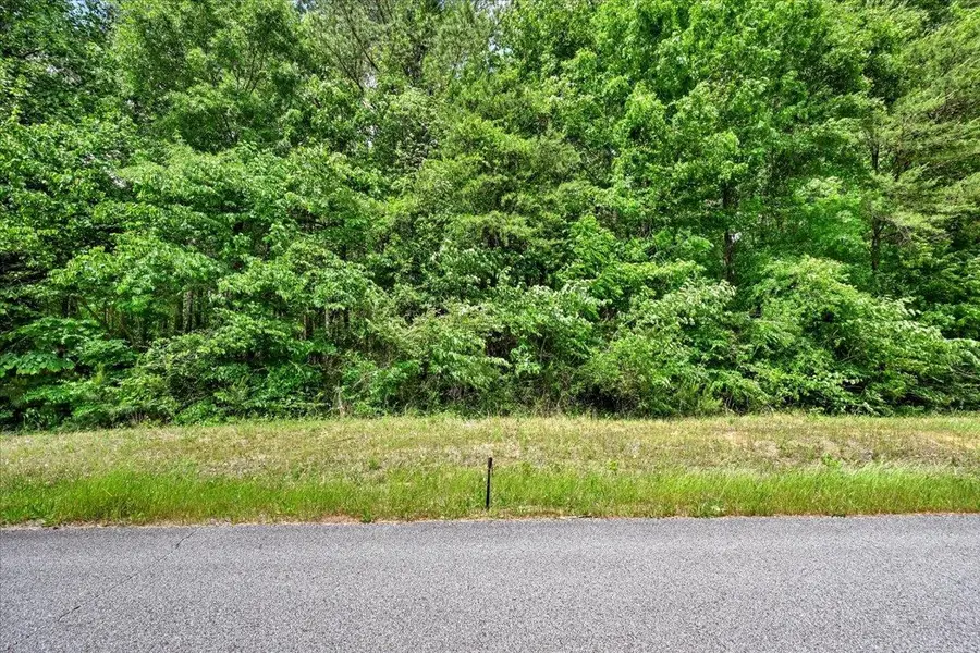 Lot 3 Mill Creek Rd, Falkville, AL 35622 - #3