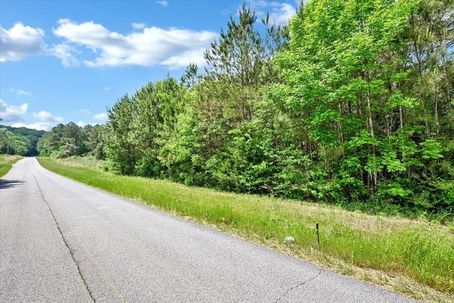 Lot 4 Mill Creek Rd, Falkville, AL 35622 - #2