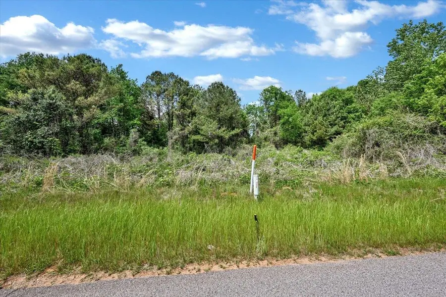 Lot 5 Mill Creek Rd, Falkville, AL 35622 - #3