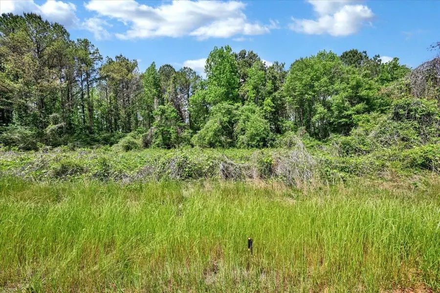 Lot 6 Mill Creek Rd, Falkville, AL 35622 - #3