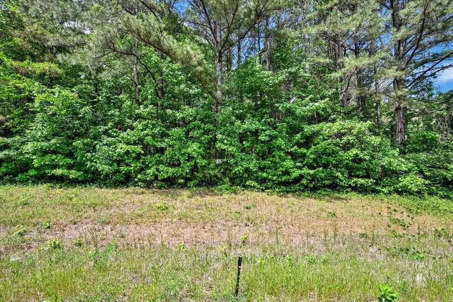 Lot 7 Mill Creek Rd, Falkville, AL 35622 - #3