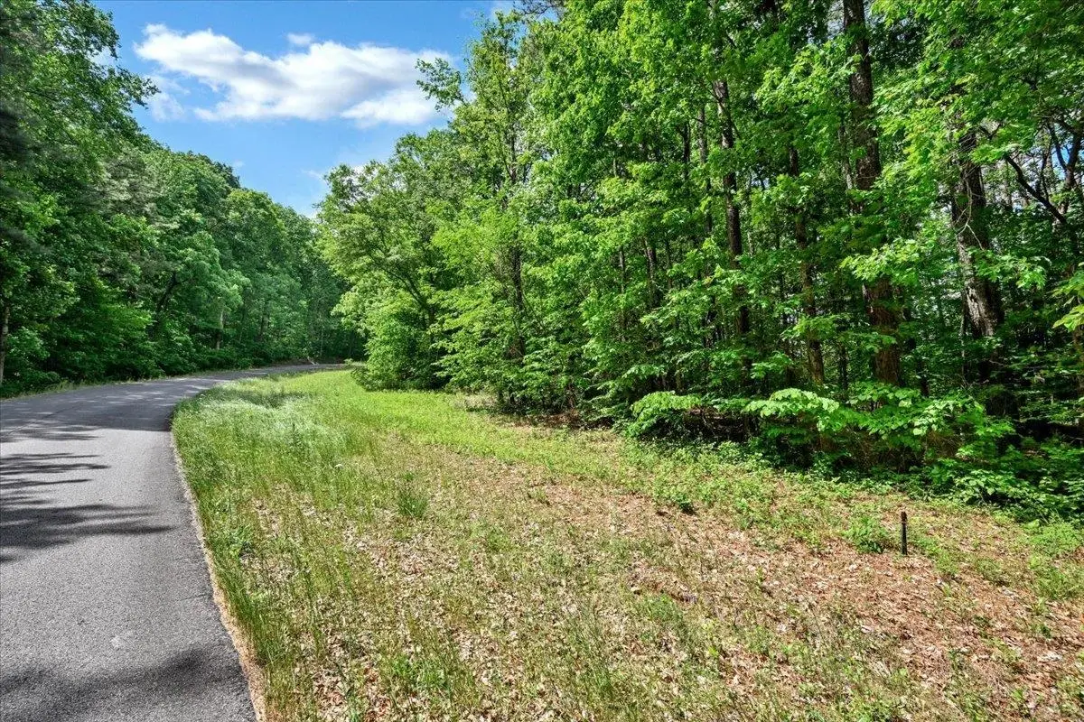 Lot 8 Mill Creek Rd, Falkville, AL 35622 - #1