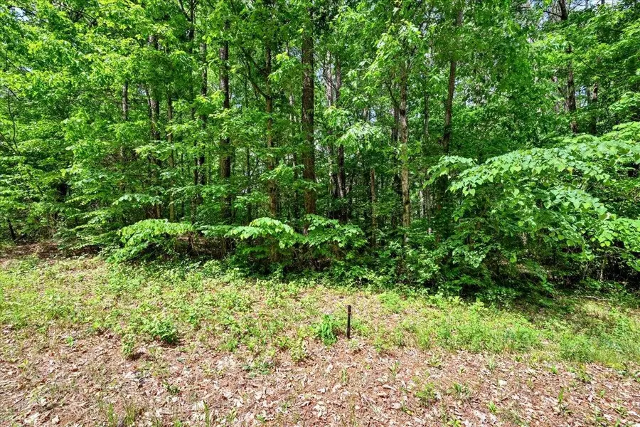 Lot 8 Mill Creek Rd, Falkville, AL 35622 - #3