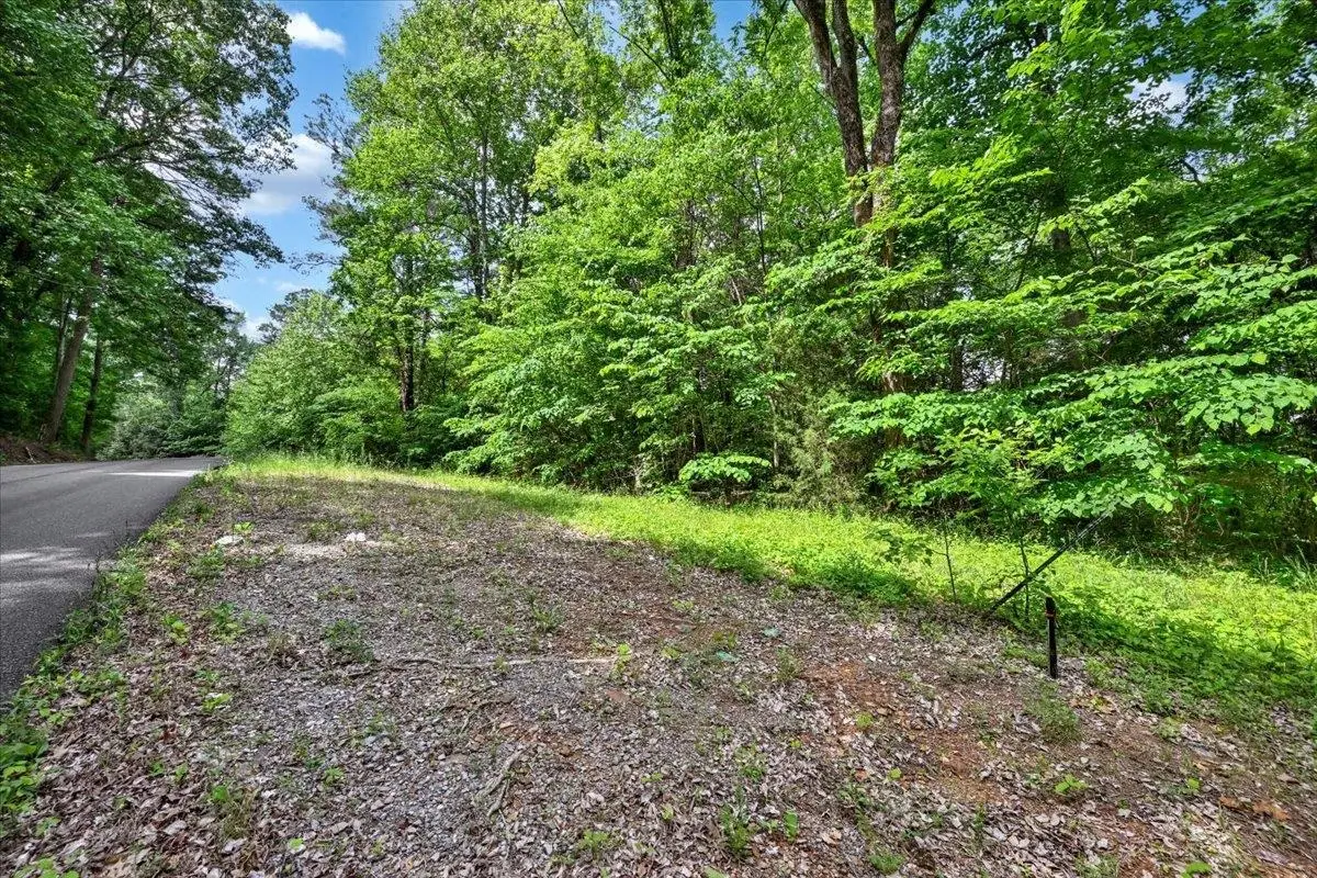 Lot 9 Mill Creek Rd, Falkville, AL 35622 - #1