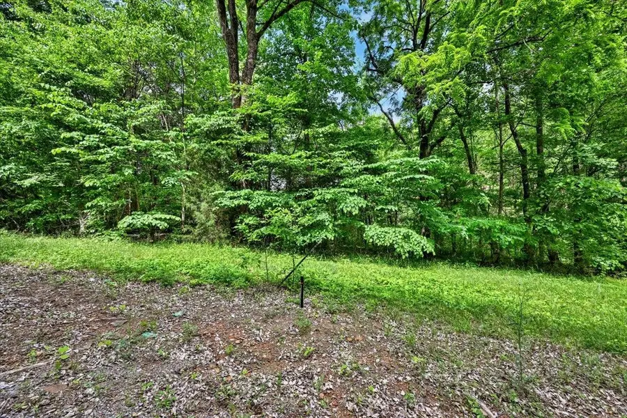 Lot 9 Mill Creek Rd, Falkville, AL 35622 - #2