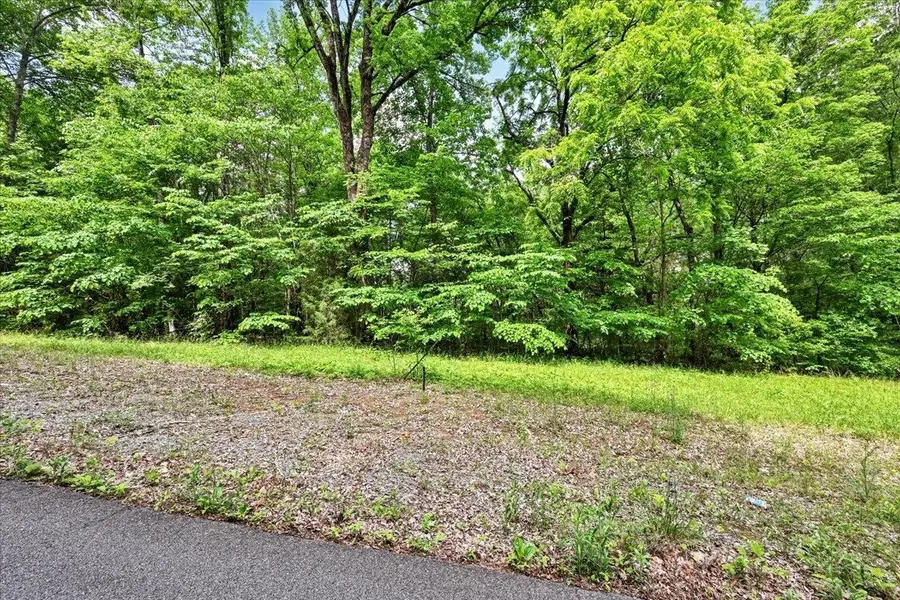 Lot 9 Mill Creek Rd, Falkville, AL 35622 - #3