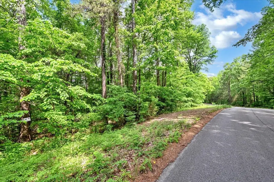 Lot 10 Mill Creek Rd, Falkville, AL 35622 - #2