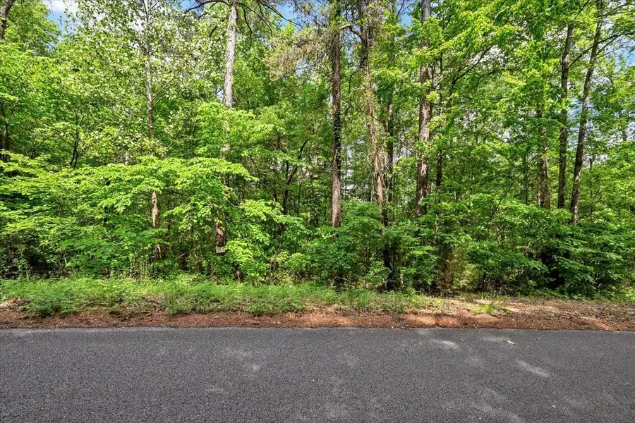 Lot 10 Mill Creek Rd, Falkville, AL 35622 - #3