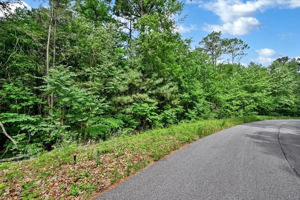Lot 11 Mill Creek Rd, Falkville, AL 35622 - #1