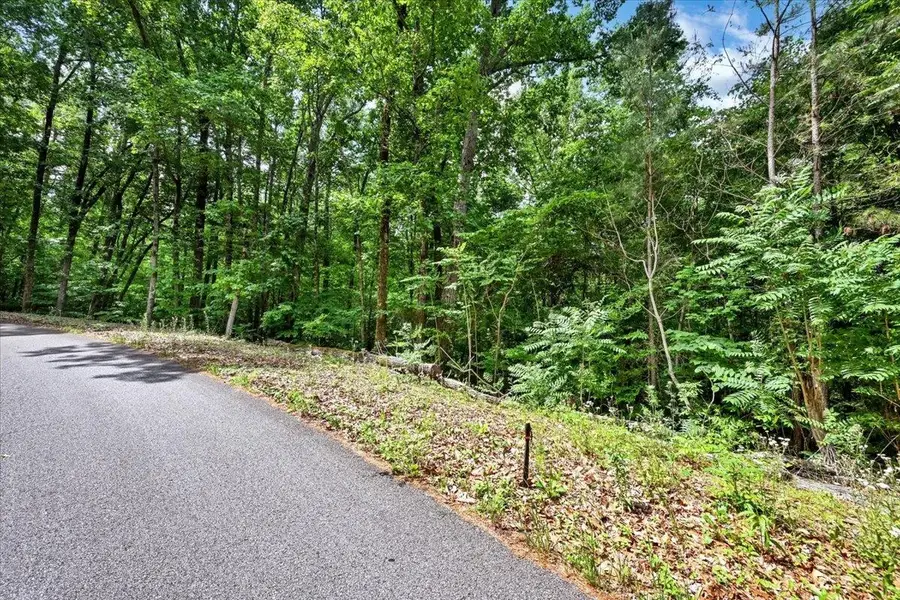 Lot 11 Mill Creek Rd, Falkville, AL 35622 - #2