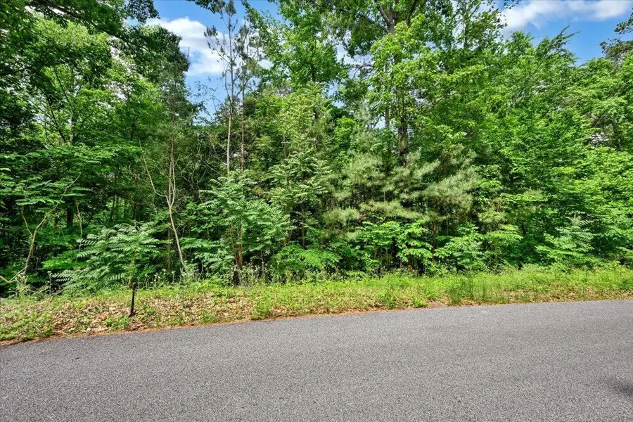 Lot 11 Mill Creek Rd, Falkville, AL 35622 - #3