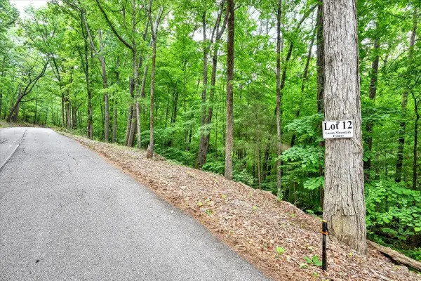 Lot 12 Mill Creek Rd, Falkville, AL 35622