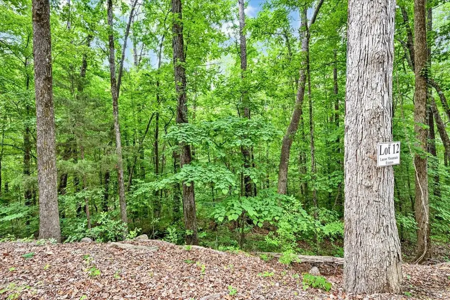 Lot 12 Mill Creek Rd, Falkville, AL 35622 - #3