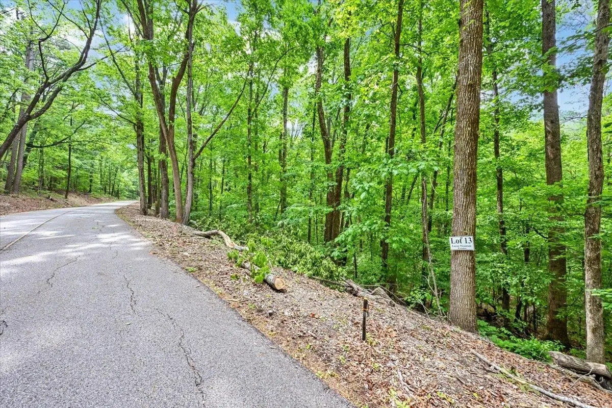 Lot 13 Mill Creek Rd, Falkville, AL 35622 - #1