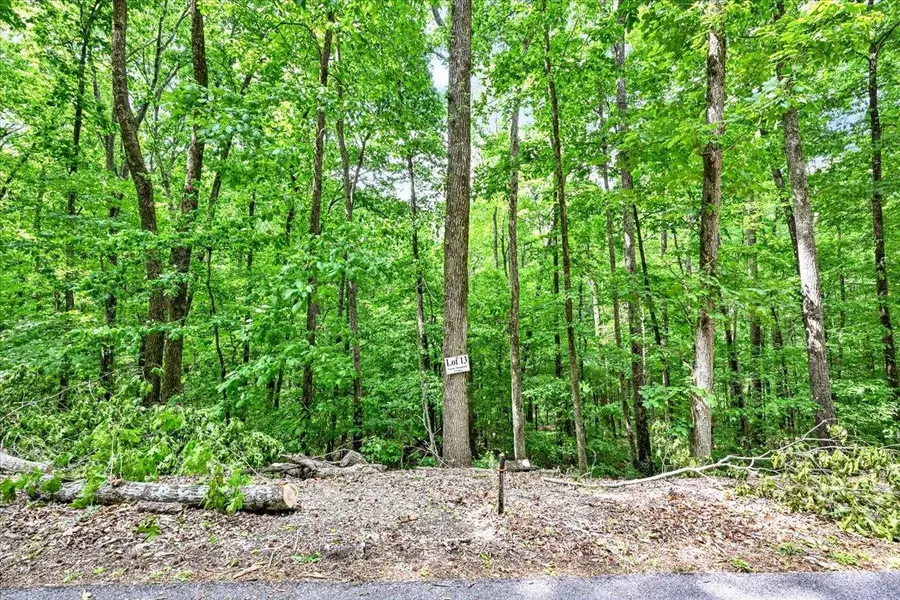 Lot 13 Mill Creek Rd, Falkville, AL 35622 - #3