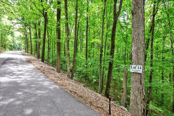 Lot 14 Mill Creek Rd, Falkville, AL 35622