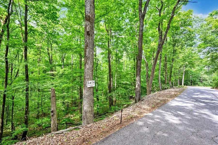 Lot 14 Mill Creek Rd, Falkville, AL 35622 - #2