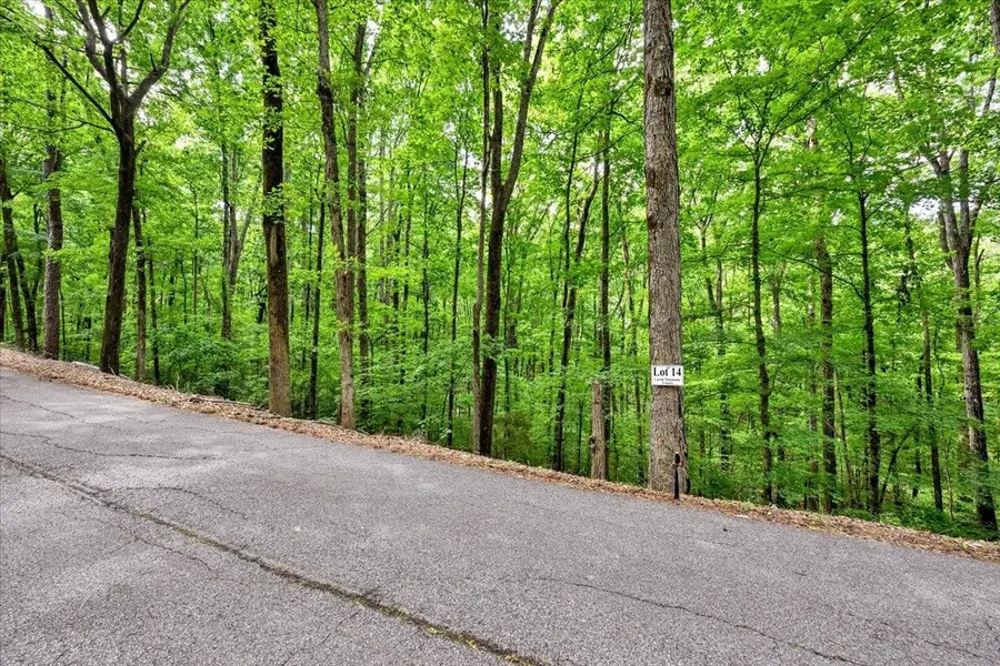 Lot 14 Mill Creek Rd, Falkville, AL 35622 - #3