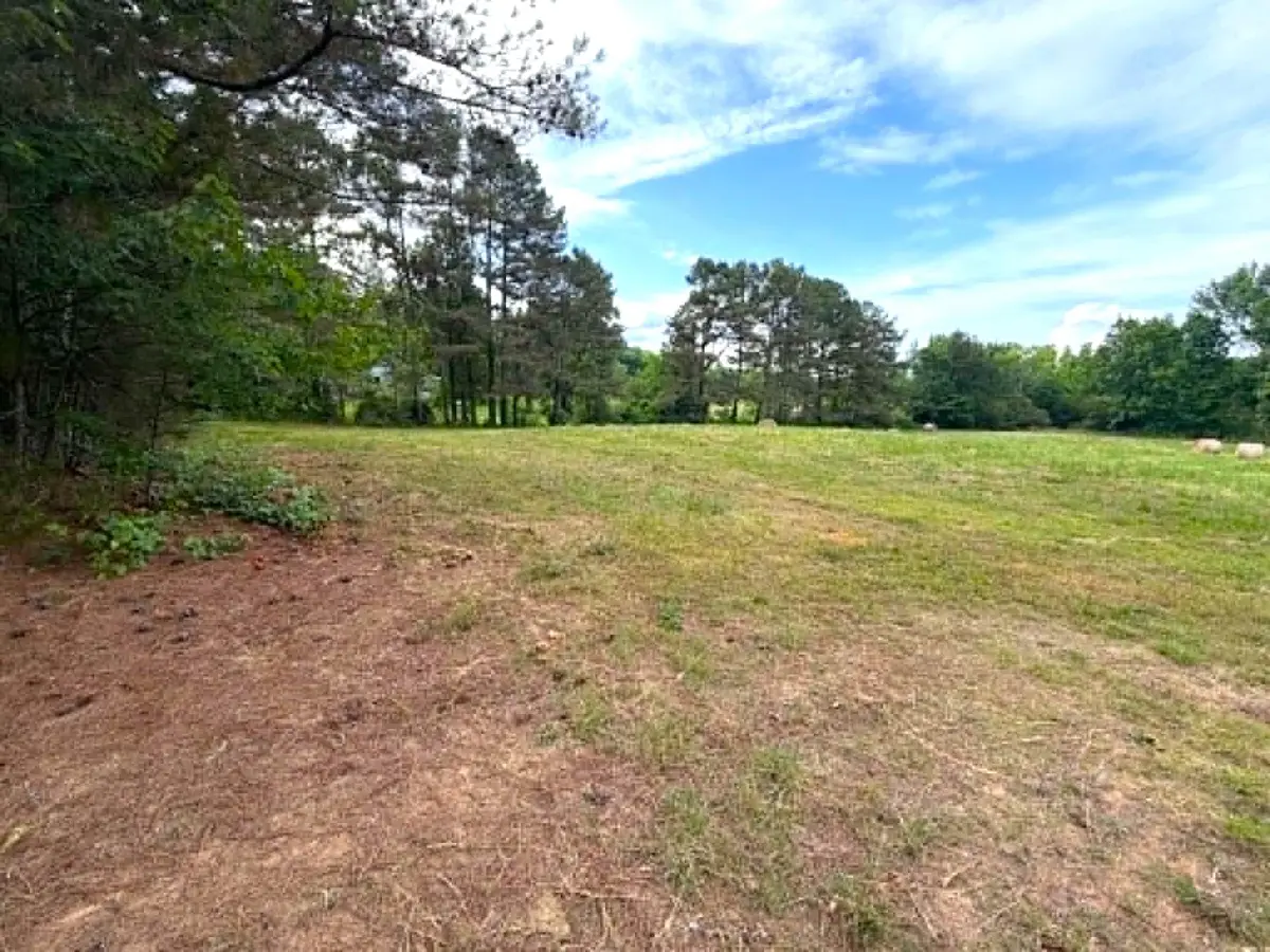 0 Co Rd 852, Crane Hill, AL 35053 - #1