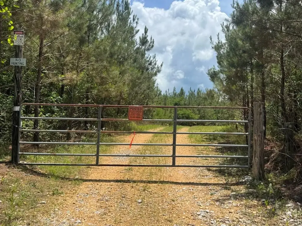 0 White Pike, Cherokee, AL 35616 - #1