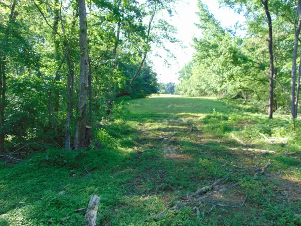 1245 Co Rd 496, Lexington, AL 35648