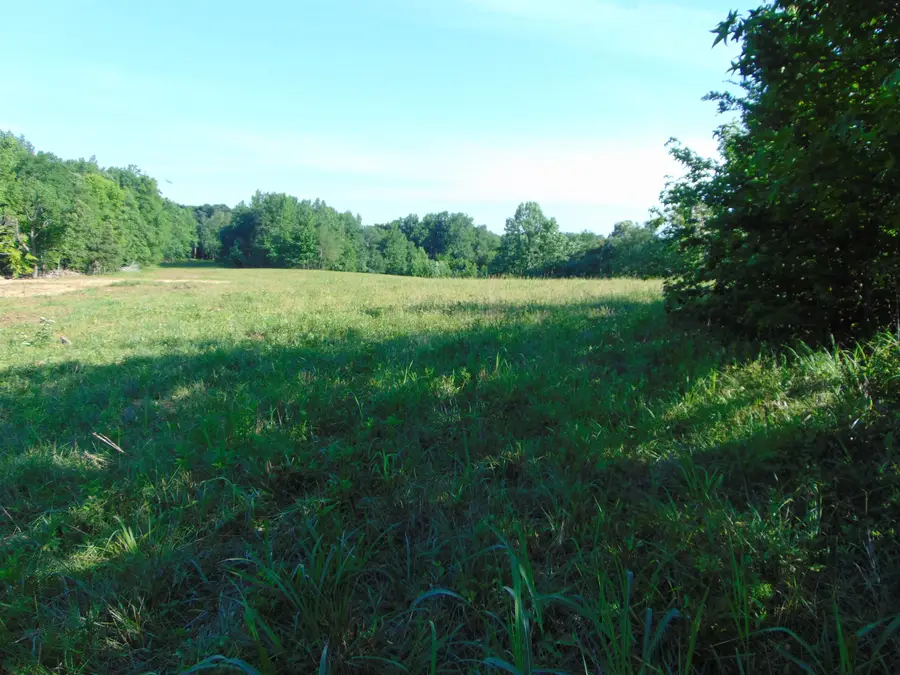 1245 Co Rd 496, Lexington, AL 35648 - #3
